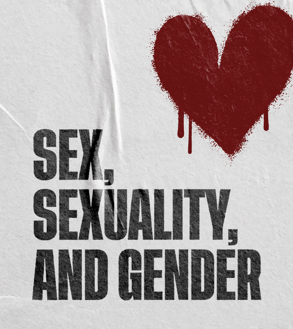 Sex, Sexuality and Gender - Explore This Series