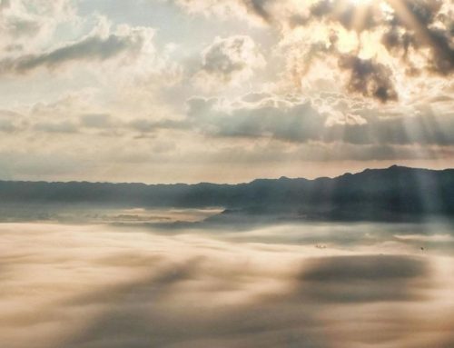 Noah’s Ark and the Ultimate Rescue | Finding Hope in Jesus