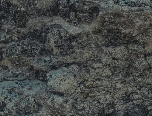 The Surprising Story of Rahab | From Outsider to Matriarch