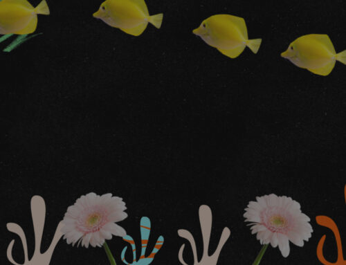 Why Half-Hearted Commitment Never Works